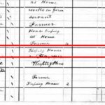 1880-Census-Birth-Place-Example.jpg