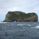 Poor-Knights-Island-near-Tutukaka-New-Zealand.jpg