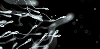 Men’s Sperm Count Down Significantly, Study Finds