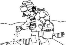 Snow Activities