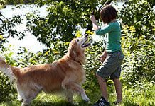 10 Fun Games for Kids and Dogs