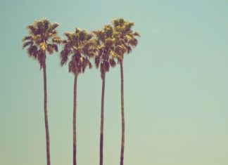 Get the best skin, hair & nails for summer …