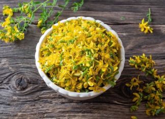 10 Health Benefits of St. John’s Wort