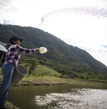 Local Communities Empower a Resilient Global Food System