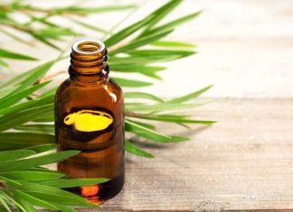 10 Tea Tree Oil Benefits for Health and Beauty