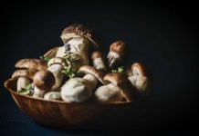 10 Amazing Health Benefits of Mushrooms