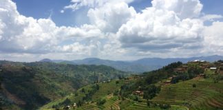 Weaving to Peace: The History Behind the Iconic Rwanda Peace Basket
