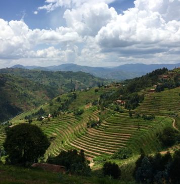 Weaving to Peace: The History Behind the Iconic Rwanda Peace Basket