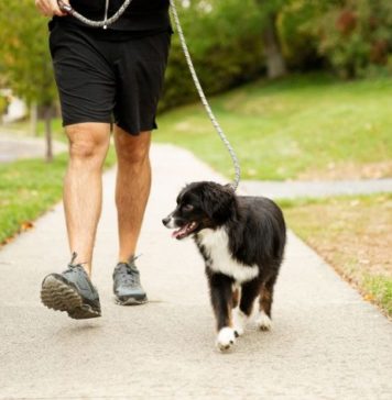 10 Ways to Lose More Weight Walking