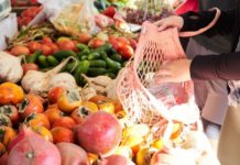 Ultimate Grocery Guide: Plant-Based Diet