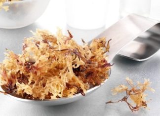 Is Sea Moss Worth the Hype?