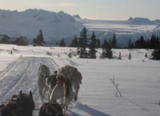 Libby Riddles on the What it Takes to Win the Iditarod